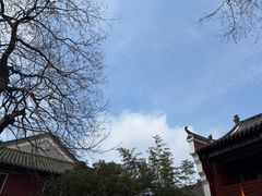 -长春观
