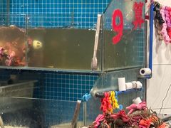 -辣螃铠盆盆蟹大排档(总店)