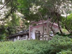 -柳侯公园
