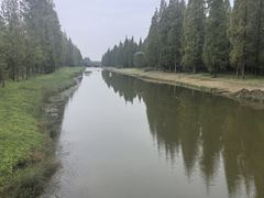 -黄海国家森林公园