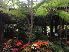 -清迈丛林飞跃 JungleFlight