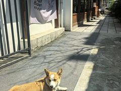 -Max Bakery 阿唛手作