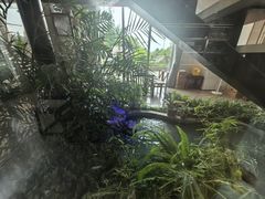-绿雪芽白茶(浙大华家池校区凯旋路店)