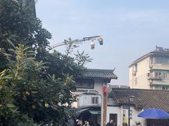 -大马弄蒋师傅美食酥鱼(察院前店)