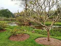-中国科学院西双版纳热带植物园