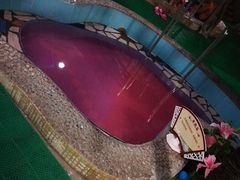 -兴芮温泉度假区