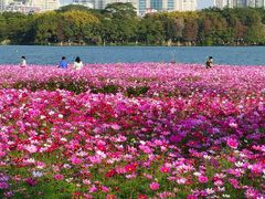 -海珠湖公园