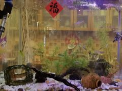 -意卡菲·欢乐聚会餐厅(华侨店)