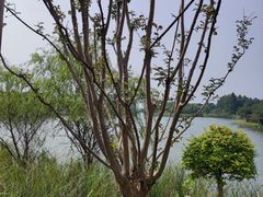 -苏州太湖国家湿地公园