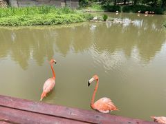 -宁波杭州湾国家湿地公园