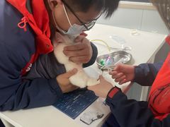 -伟伟宠物医院·CT影像中心·瑞派犬猫综合性门诊(汉口总院)