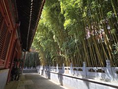 -潭柘寺景区