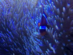 android_upload_pic-西雅图水族馆