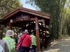 -九曲溪竹筏码头