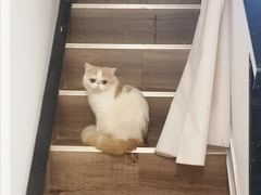 -肥安娜·小吃·饮品