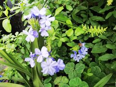 -云里小坐·小院里·团建·宴请·下午茶(三圣乡店)