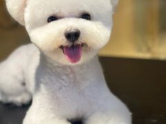 -听TA说宠咖·宠物生活馆(天韵水岸店)