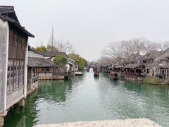 -乌镇西栅景区