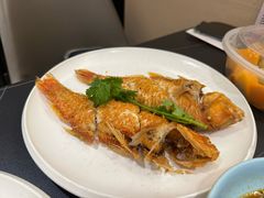 -吴记富苑(朝阳店)