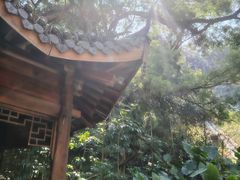 -金鸡山公园