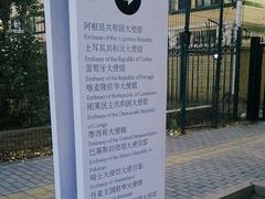 -三里屯东五街银杏大道