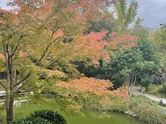 -秋霞圃