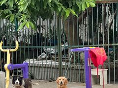 -打绳米面老店(打绳巷二中店)