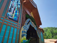 -西双版纳原始森林公园