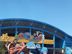 -泉城欧乐堡海洋极地世界