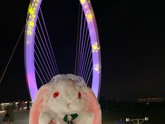 -南京眼步行桥