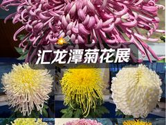 -汇龙潭