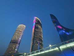 -演武大桥观景平台