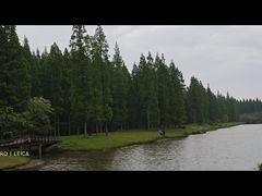 -黄海国家森林公园