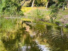 -长白岛森林公园