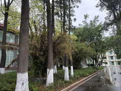 -西昌邛海宾馆