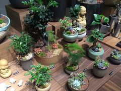 -方所(华润万象城店)