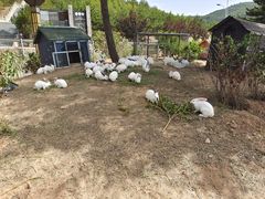 -山西乌金山旅游区