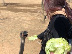 -石家庄市动物园