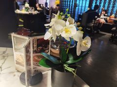 -钟菜·粤菜点心·宴请(海上世界·汇港二期店)