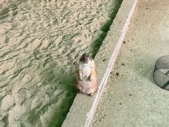 -杭州野生动物世界