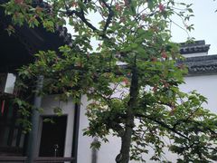 -拙政园