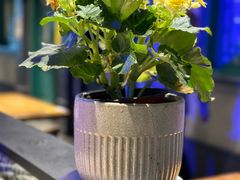 -胖老汉新疆特色椒麻鸡(南门店)