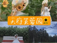 -天府芙蓉园