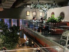 -三强鸽子(中原路店)