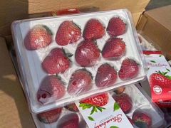 -中国石化黄河大道加油站