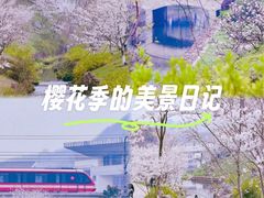 -羊山湖公园