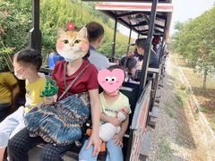 -武汉紫薇都市田园