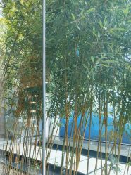 -爱儿美儿童摄影(朝阳公园店)
