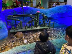 -酷嗒动物文化乐园(cutezoo西溪乐天城店)