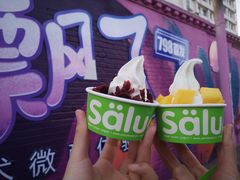 -Salud撒露欧洲冻酸奶(798艺术区店)